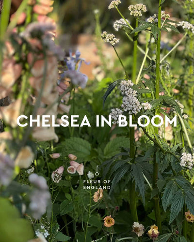 In Bloom: Inspiration from the Chelsea Flower Show