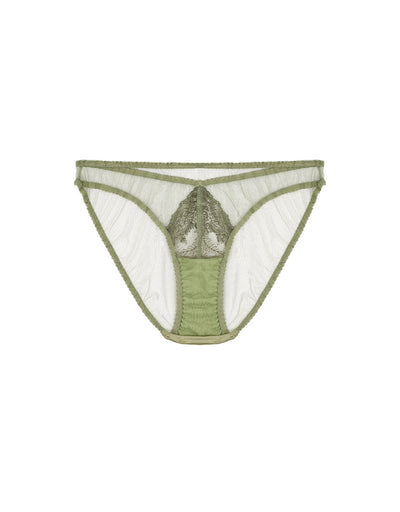 FleurOfEngland Arianna Brief