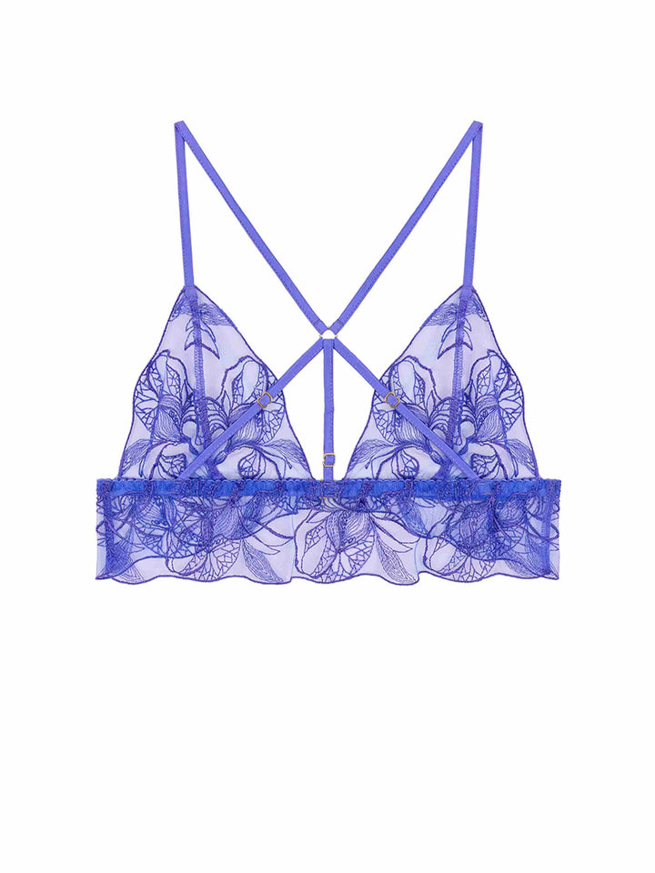 fleur-of-england-iris-blue-
