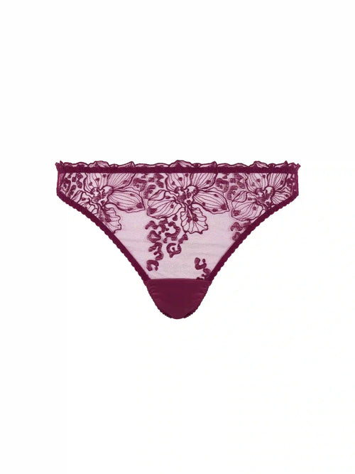 Fleur of England Viola Brazilian Brief