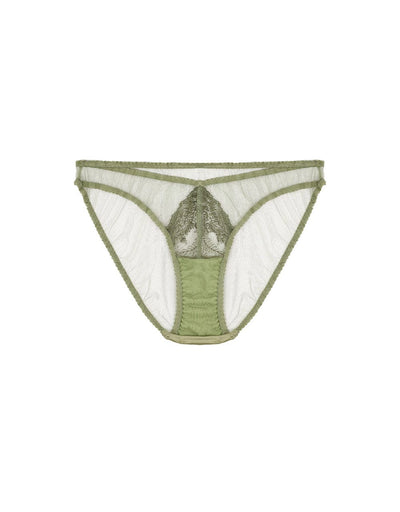 FleurOfEngland Arianna Brief