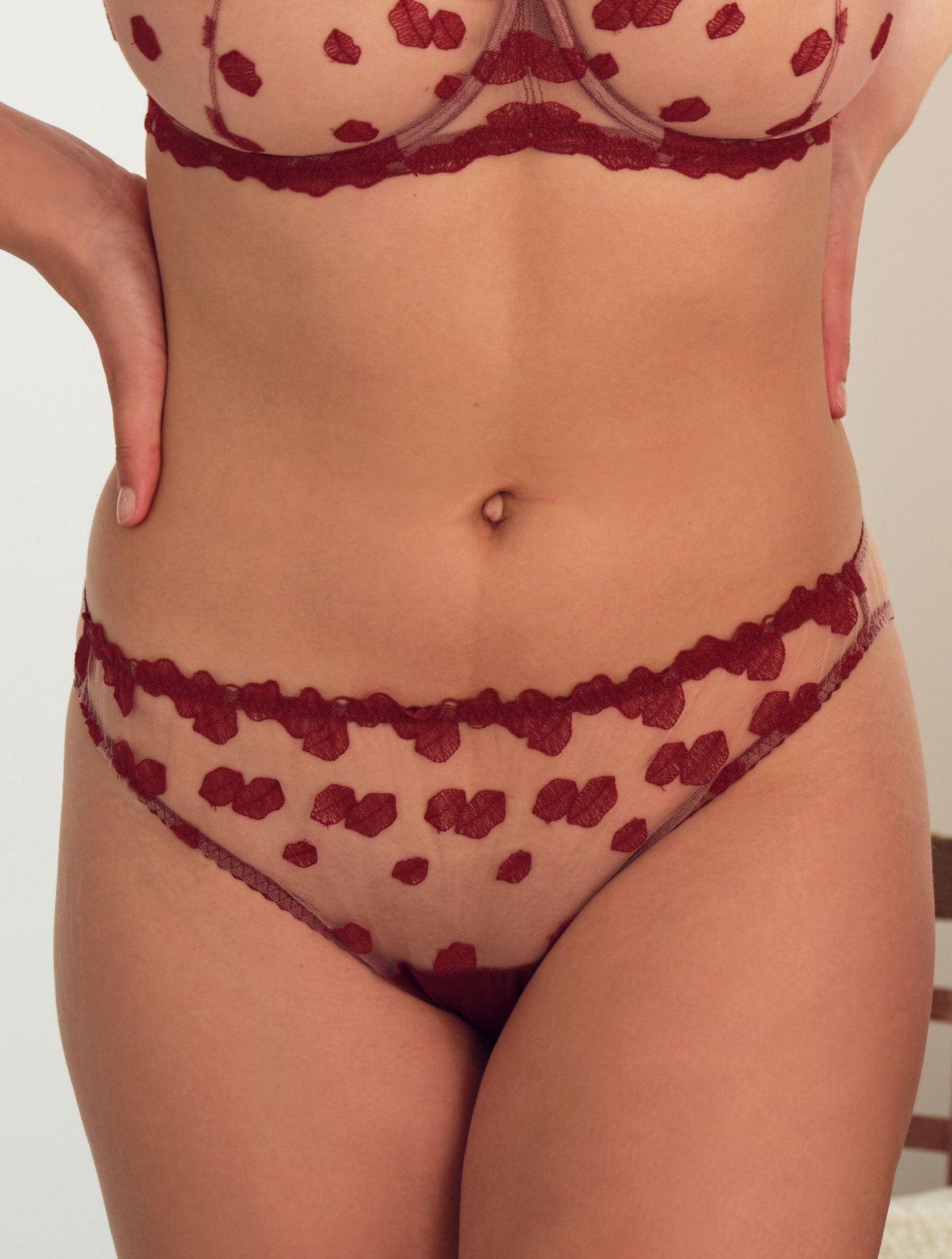 Hipster Style Ruby Embroidered Brief 